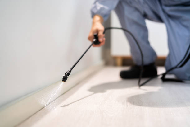 Rodent Entry Point Assessment in Indian Hills